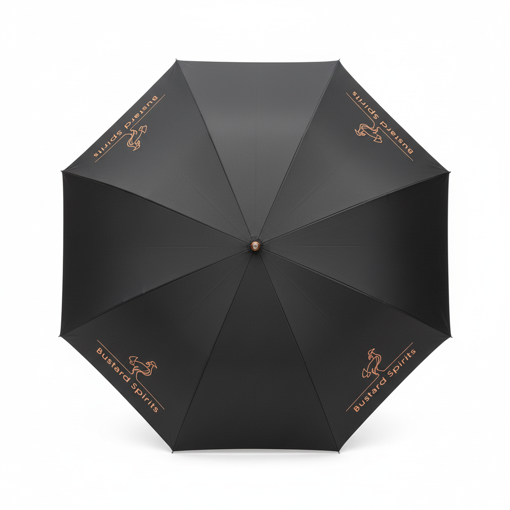 Umbrella top view - white background